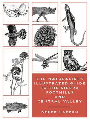 cover image of The Naturalist's Illustrated Guide to the Sierra Foothills and Central Valley